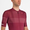Herren Trofeo Giro d'Italia 2024 Trikot-Bordeaux