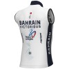 Herren Ale Bahrain Victorious 2024 wind weste