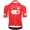 Herren Q36.5 Tour de Suisse 2025 Gregarius Pro trikot-Climber