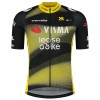 Herren Team Visma Lease a Bike 2025 The Swarm trikot-Tdf Herren Team Visma Lease a Bike 2025 The Swarm trikot-Tdf