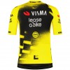 Herren Team Visma Lease a bike 2025 The Wingbeat trikot