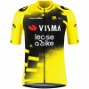 Herren Team Visma Lease a bike 2025 The Wingbeat trikot