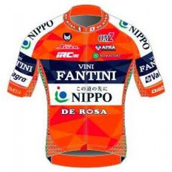 2017 Vini Fantini Nippo Fahrradtrikot Radsport JCNWS